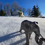 Eco Yourte Les Airelles 4* Saint-Anthème