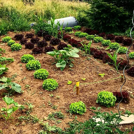 Eco Yourte Les Airelles 4*