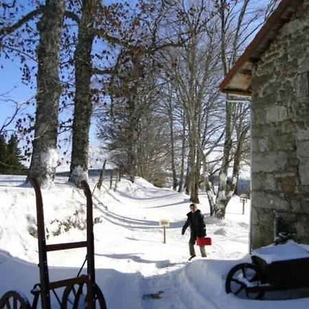 Eco Yourte Les Airelles Saint-Antheme