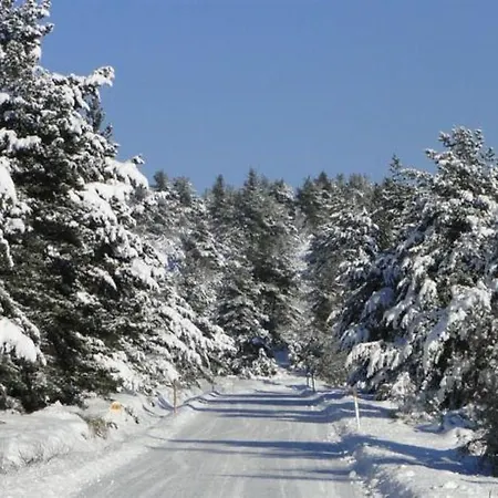 Eco Yourte Les Airelles 4*